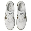 Asics Skateboarding Japan Pro (Cloud Grey/Brown Storm)