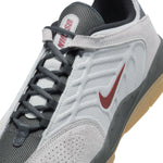 Nike SB Vertebrae (LT Smoke Grey/Dark Team Red)