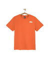 The North Face Great Outdoors Graphic Tee Iron Bronze