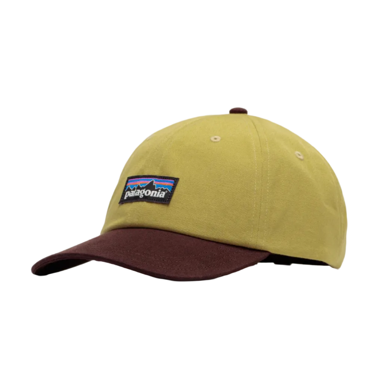 Patagonia P-6 Label Trad Cap – Theory Skate Shop