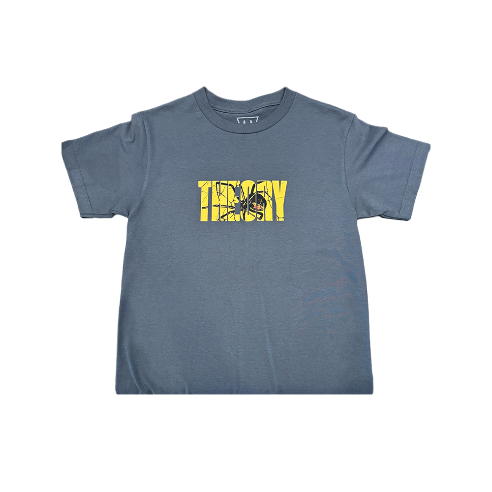 Theory Spider Grey