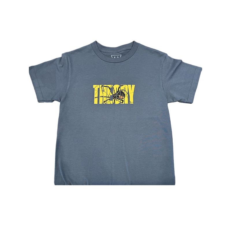 Theory Spider Grey